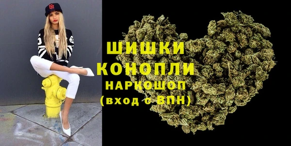 PSILOCYBIN Алзамай