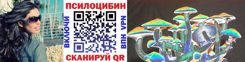 наркошоп  Старая Купавна  Галлюциногенные грибы Cubensis 